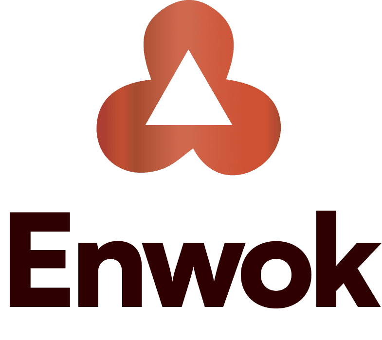 enwok.com